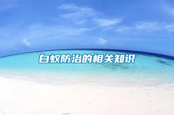 白蟻防治的相關知識