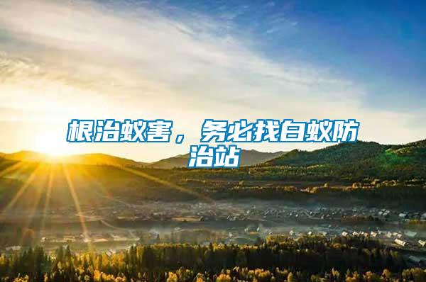 根治蟻害，務必找白蟻防治站