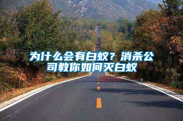 為什么會有白蟻？消殺公司教你如何滅白蟻