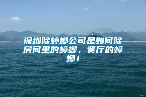 深圳除蟑螂公司是如何除房間里的蟑螂，餐廳的蟑螂！