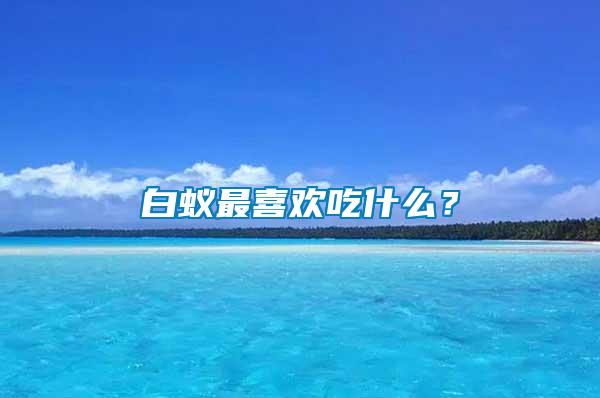 白蟻?zhàn)钕矚g吃什么？