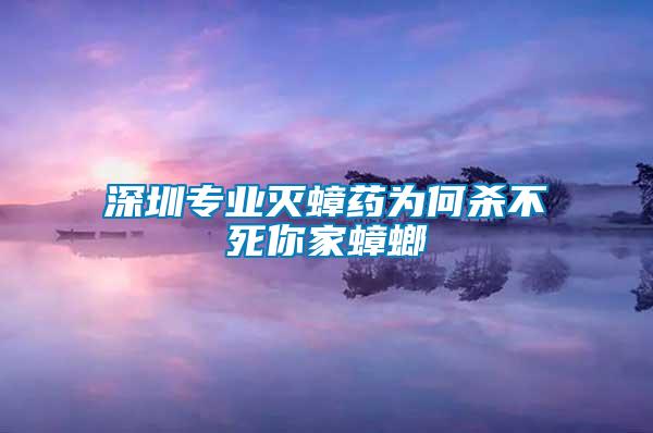 深圳專業滅蟑藥為何殺不死你家蟑螂