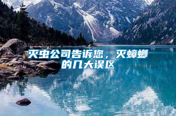 滅蟲公司告訴您，滅蟑螂的幾大誤區