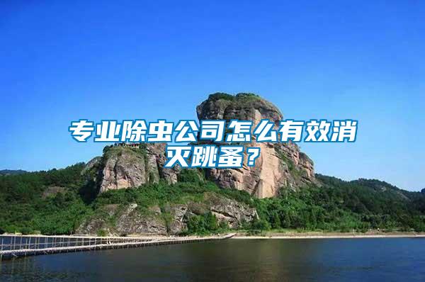 專業(yè)除蟲公司怎么有效消滅跳蚤？