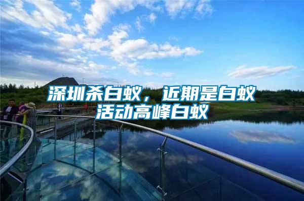 深圳殺白蟻，近期是白蟻活動高峰白蟻