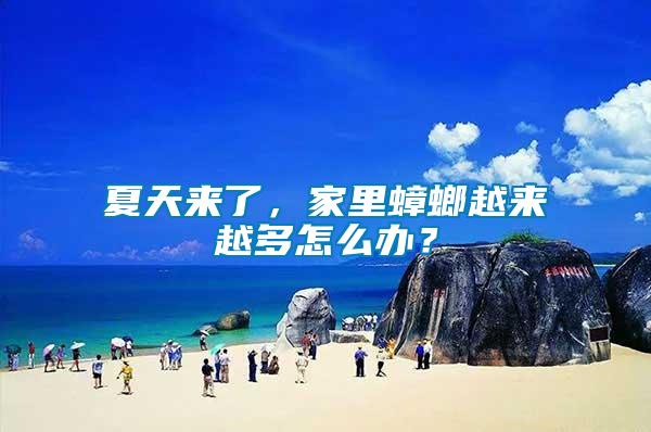 夏天來了，家里蟑螂越來越多怎么辦？