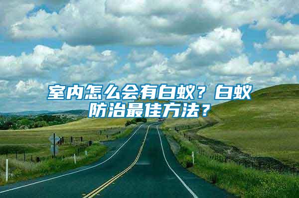 室內怎么會有白蟻？白蟻防治最佳方法？