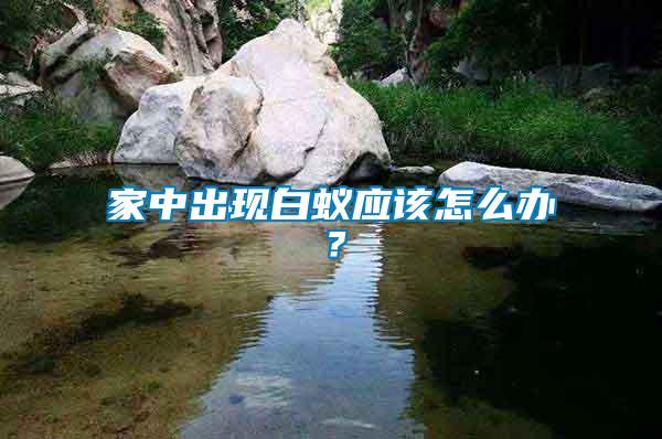 家中出現白蟻應該怎么辦？
