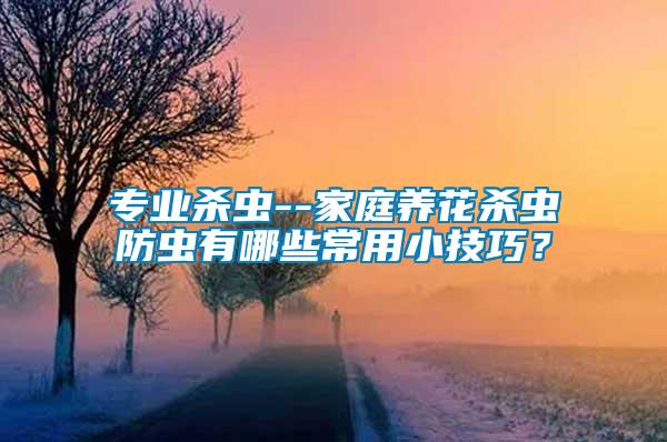 專業殺蟲--家庭養花殺蟲防蟲有哪些常用小技巧？