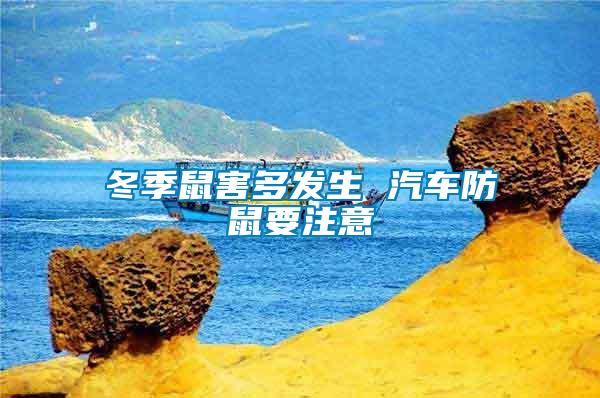 冬季鼠害多發生 汽車防鼠要注意