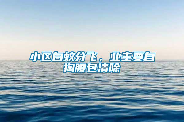 小區白蟻分飛，業主要自掏腰包清除
