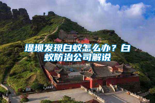 堤壩發現白蟻怎么辦？白蟻防治公司解說