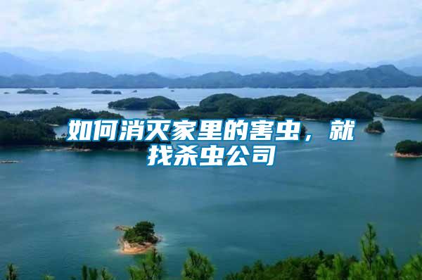 如何消滅家里的害蟲，就找殺蟲公司