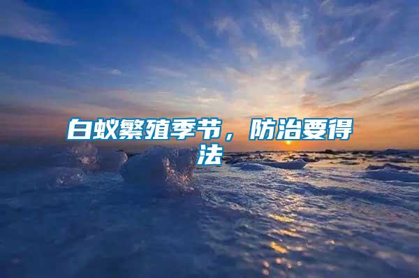 白蟻繁殖季節，防治要得法