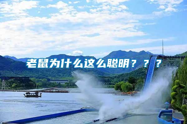 老鼠為什么這么聰明？？？