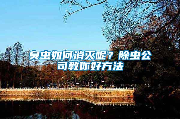 臭蟲如何消滅呢？除蟲公司教你好方法