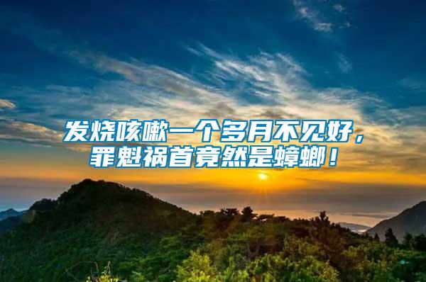 發燒咳嗽一個多月不見好，罪魁禍首竟然是蟑螂！
