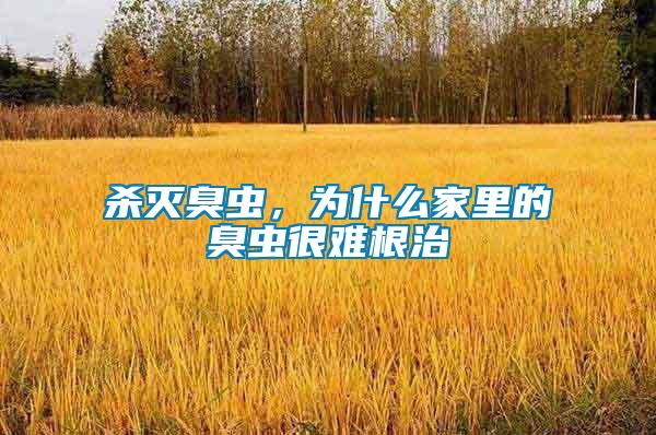殺滅臭蟲(chóng)，為什么家里的臭蟲(chóng)很難根治