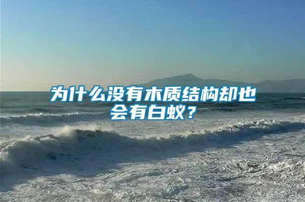 為什么沒有木質(zhì)結(jié)構(gòu)卻也會(huì)有白蟻？