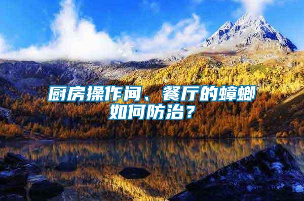 廚房操作間、餐廳的蟑螂如何防治？