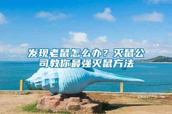 發(fā)現(xiàn)老鼠怎么辦？滅鼠公司教你最強(qiáng)滅鼠方法