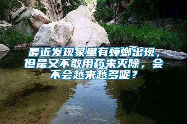 最近發現家里有蟑螂出現，但是又不敢用藥來滅除，會不會越來越多呢？