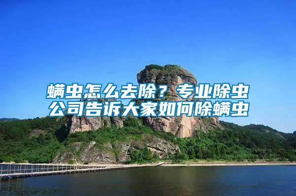 螨蟲怎么去除？專業除蟲公司告訴大家如何除螨蟲