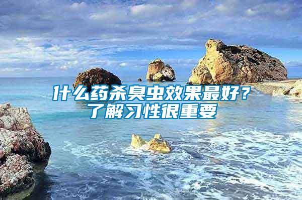 什么藥殺臭蟲效果最好？了解習性很重要