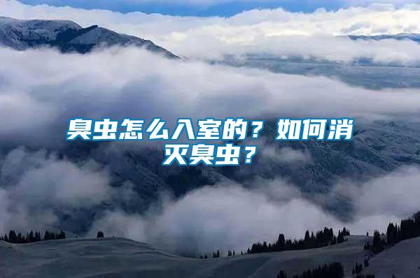 臭蟲怎么入室的？如何消滅臭蟲？