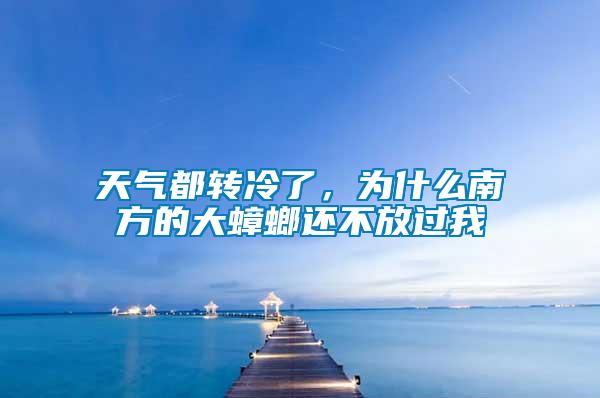 天氣都轉冷了，為什么南方的大蟑螂還不放過我