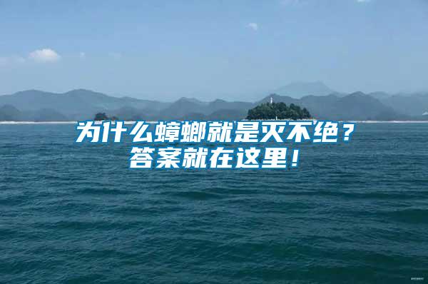 為什么蟑螂就是滅不絕？答案就在這里！