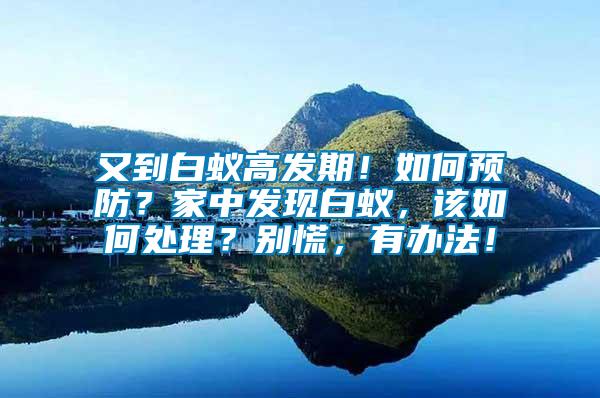 又到白蟻高發(fā)期！如何預(yù)防？家中發(fā)現(xiàn)白蟻，該如何處理？別慌，有辦法！