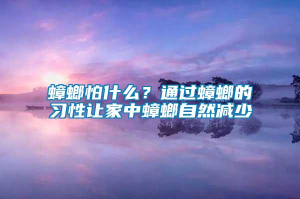 蟑螂怕什么？通過(guò)蟑螂的習(xí)性讓家中蟑螂自然減少