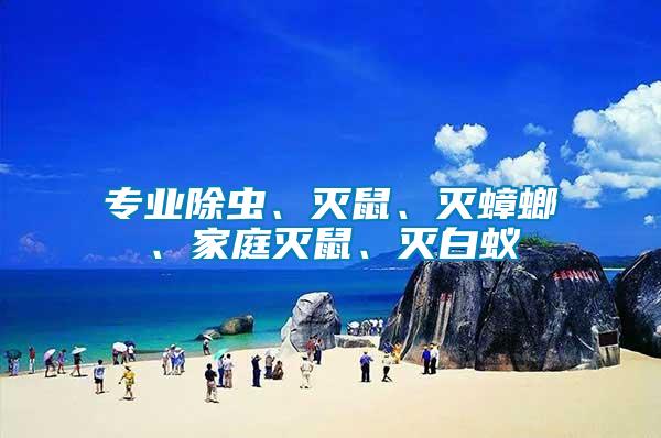 專業除蟲、滅鼠、滅蟑螂、家庭滅鼠、滅白蟻