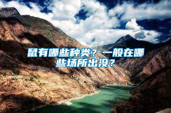 鼠有哪些種類？一般在哪些場(chǎng)所出沒(méi)？