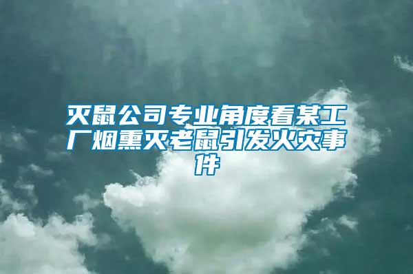 滅鼠公司專業角度看某工廠煙熏滅老鼠引發火災事件