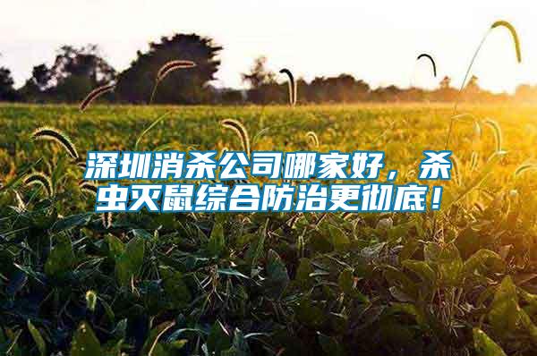 深圳消殺公司哪家好，殺蟲滅鼠綜合防治更徹底！