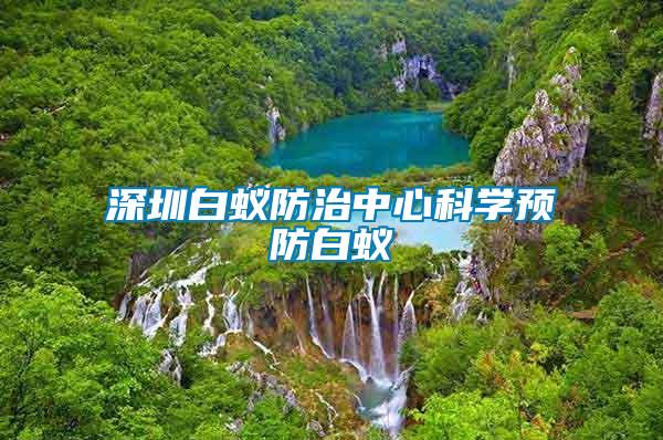 深圳白蟻防治中心科學預防白蟻