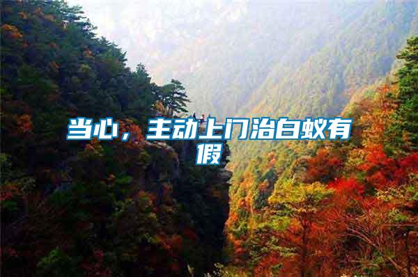 當(dāng)心，主動上門治白蟻有假