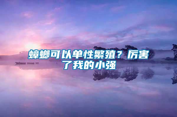 蟑螂可以單性繁殖？厲害了我的小強(qiáng)