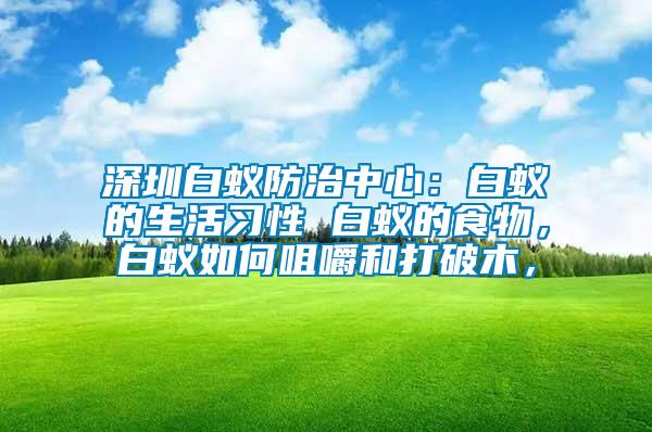 深圳白蟻防治中心：白蟻的生活習(xí)性 白蟻的食物，白蟻如何咀嚼和打破木，