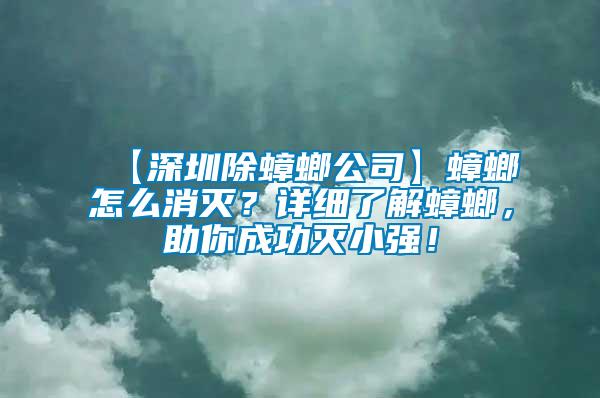 【深圳除蟑螂公司】蟑螂怎么消滅？詳細了解蟑螂，助你成功滅小強！
