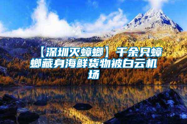 【深圳滅蟑螂】千余只蟑螂藏身海鮮貨物被白云機(jī)場(chǎng)