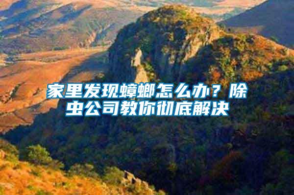家里發現蟑螂怎么辦？除蟲公司教你徹底解決