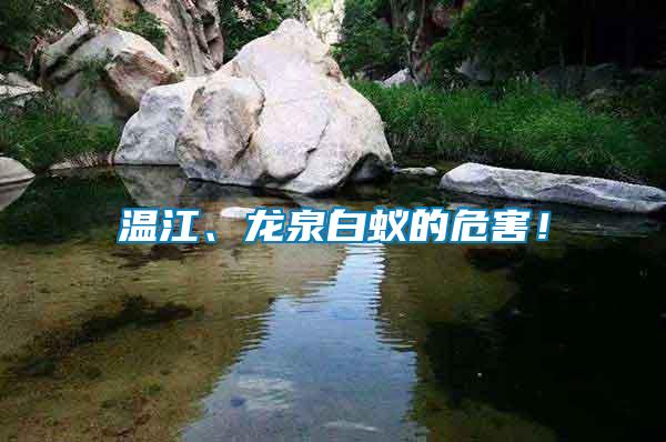 溫江、龍泉白蟻的危害！