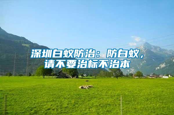 深圳白蟻防治：防白蟻，請不要治標不治本