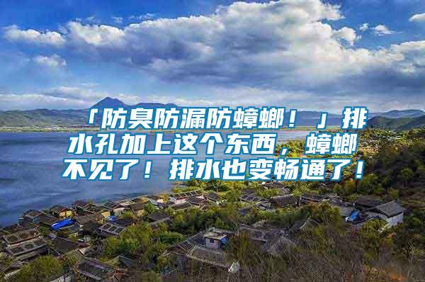 「防臭防漏防蟑螂！」排水孔加上這個東西，蟑螂不見了！排水也變暢通了！