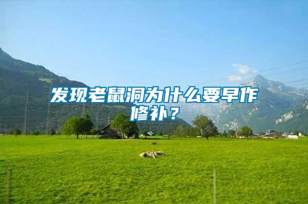 發(fā)現(xiàn)老鼠洞為什么要早作修補(bǔ)？