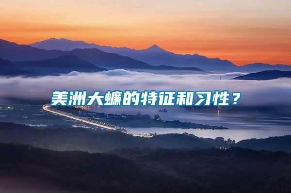 美洲大蠊的特征和習性？
