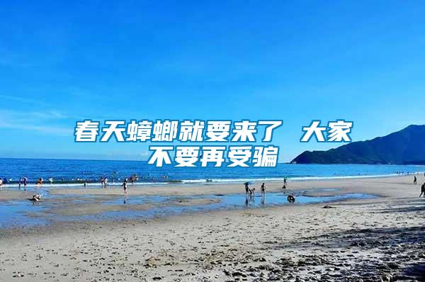 春天蟑螂就要來(lái)了 大家不要再受騙